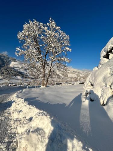  Ferienhof Aschaber in Brixen im Thale