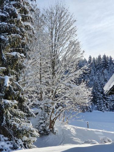 Boutique Hotel Alpenhof