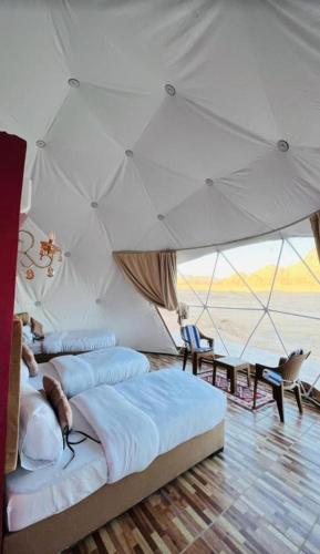 Desert relax camp