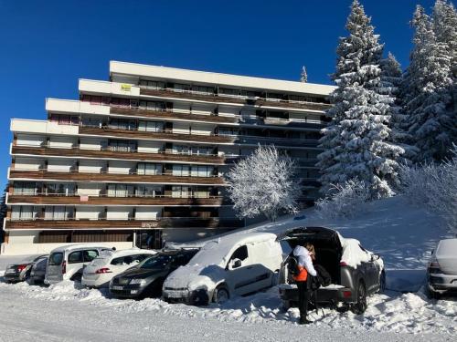 Le Flocon-Studio cabine-Balcon 4-6 Pers à 100m des pistes