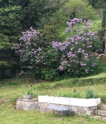 Le jardin privatif de Pauze à CAUTERETS