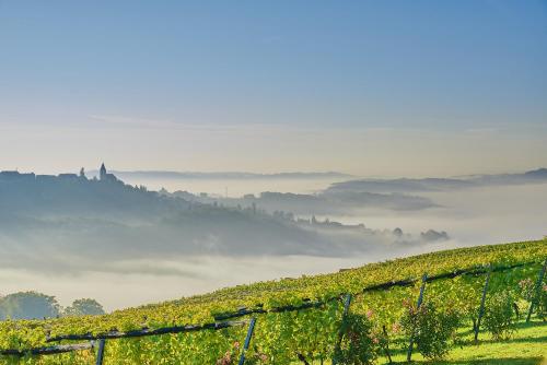 Winzerzimmer Scharl