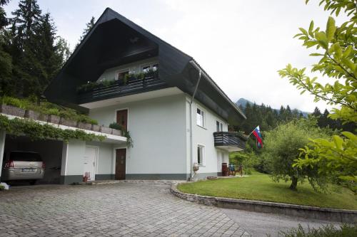 Book your Stay and an Amazing views on Alps, Bohinj (foto 8)
