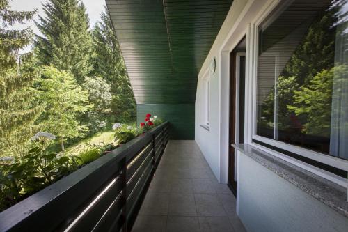 Book your Stay and an Amazing views on Alps, Bohinj (foto 6)