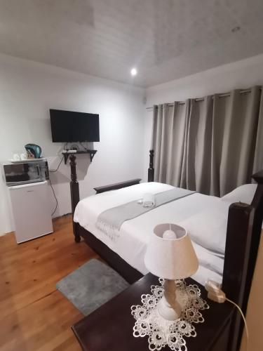 Palm Tree BnB – East London, IA