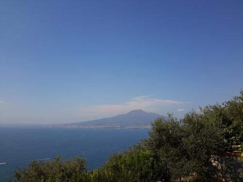 Ambrosio home Ambrosio home