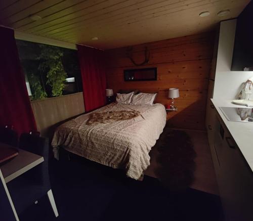 Lapland Aurora cabin