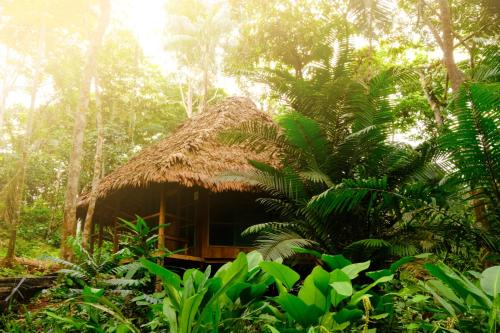 Apkārtne, CHUNAKI ECOLODGES - Authentic Activities and Food in the Amazon in Letīcija
