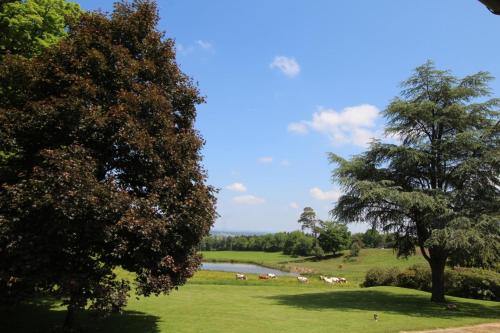 Le masbareau, le vieux domaine