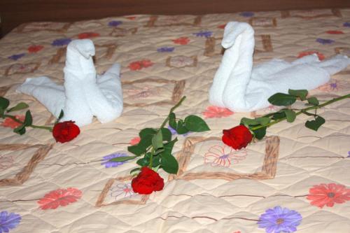 Hotel Iris - image 3
