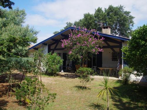 Holiday Home room in Grande maison landaise près du port de Capbreton 4 chambres jardin animaux admis - FR-1-413-232