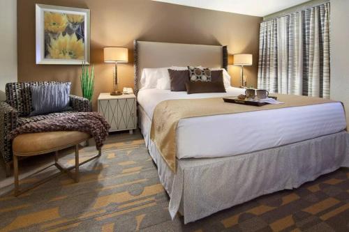 Weekend in Vegas - One Bedroom Apartment Next to Sphere!, Las Vegas (foto 9)