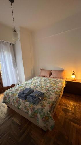 Depto Luminoso Centro