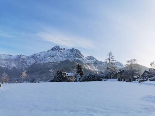 Lovely Apartment in Saalfelden directly on the farm