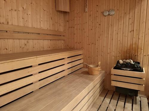 ساونا, St Ivan Rilski SPA Studio in بانسكو