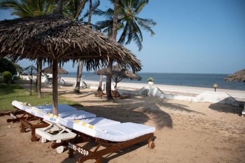 Zuri Luxe 2BR apartment- Silversands Beach Malindi in Malindi