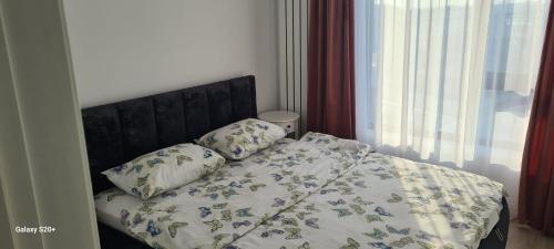 Apartament Lucian