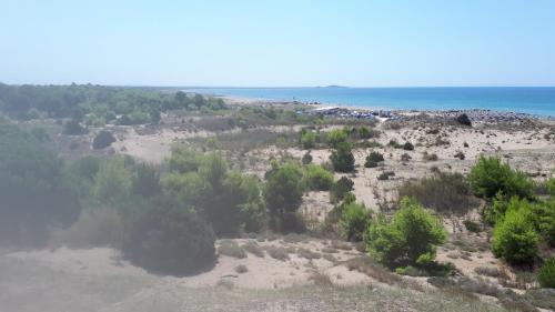 Villa Dunes 350m from the sandy beach