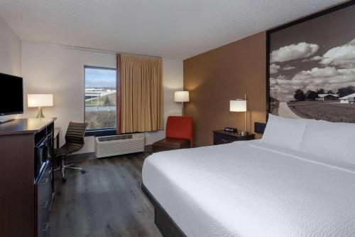 1 king bed