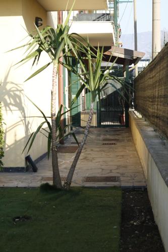 CASA HYRIA in 諾拉