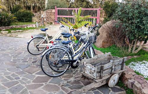 Alghero - Grotte di Nettuno cortes