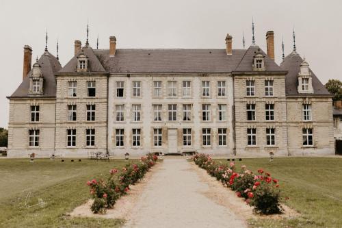 Château de Vitry-la-Ville - Chambre d'hôtes - Vitry-la-Ville