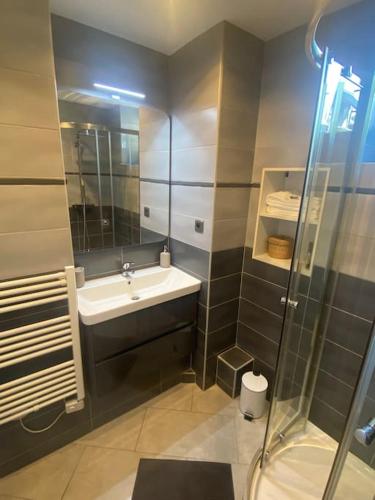 Appartement, au cœur de Sallanches, Sallanches (foto 9)