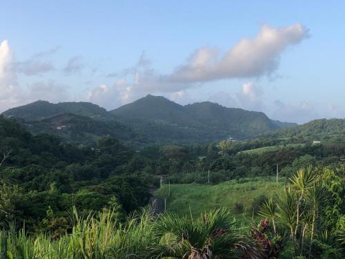 Passion Du Paradis972 - Location saisonnière - Rivière-Pilote