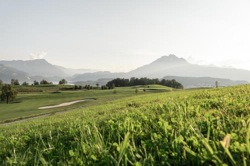 Gasthaus Badhof - Golfhotel - image 8