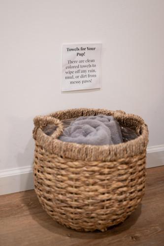 Newly-renovated 5BR home near UVA, Downtown, i64 Newly-renovated 5BR home near UVA, Downtown, i64