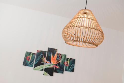 Tree Apartment BG - image 2