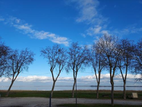 Chambres chez l'habitant - Pension de famille - Pauillac