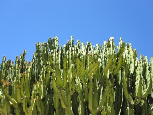 Hostal Catalina Vera - image 13