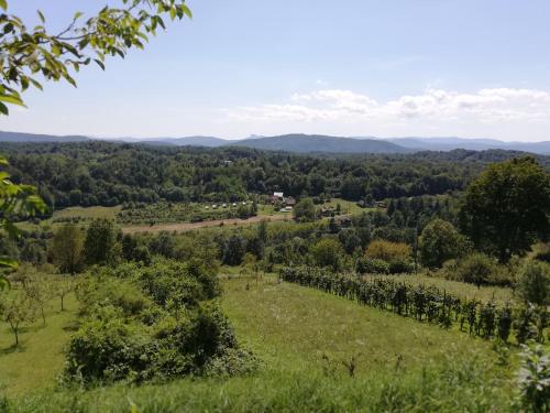 Camping Sretanwolf in Bosiljevo