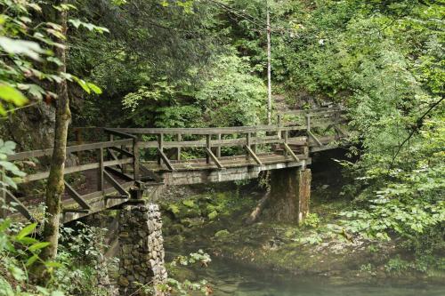 Camping Sretanwolf in Bosiljevo