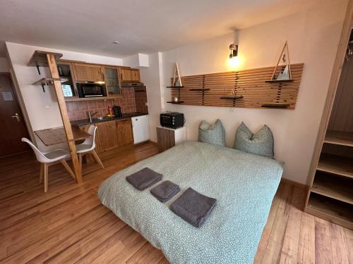 Studio Bellevue 1, ski lift 350m, Zinal (foto 10)