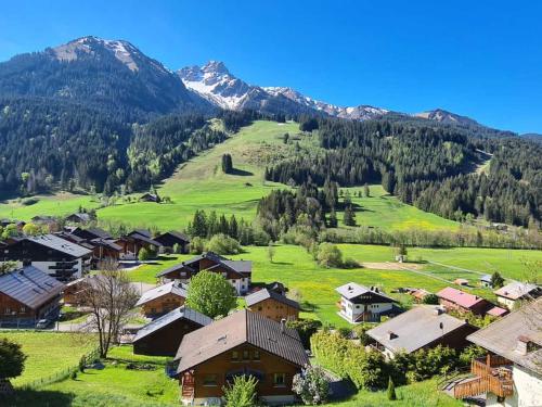 Appartement de charme renove proche du centre et des pistes avec Wi-Fi - FR-1-692-91 in La Chapelle-d'Abondance