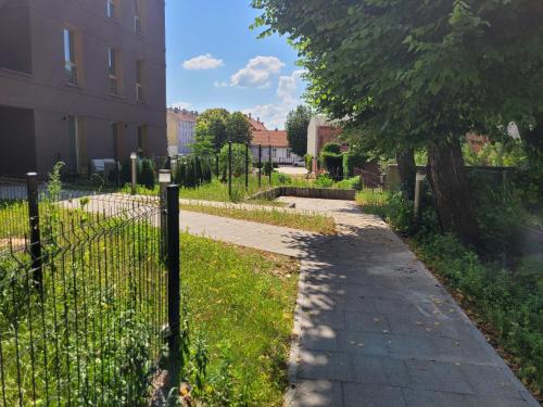 Apartament w sercu Elbląga