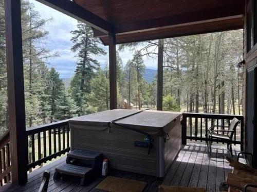 Carpe Diem Home in Angel Fire, USA