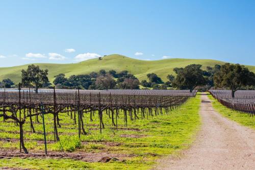 Wine Country Ranch Escape