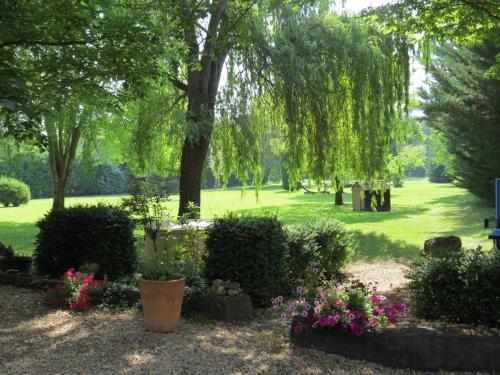 Le Jardin - Chambre d'hôtes - Laragne-Montéglin