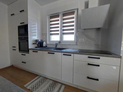 Villa Romansa in Milovcici