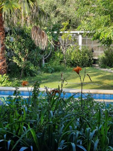 Casa Sustentable Mint Fields