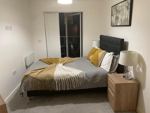 City centre apartment, Manchester (fotografie 3)