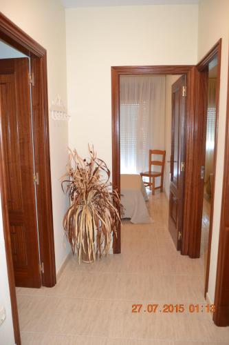 Two-Bedroom Apartment image 5