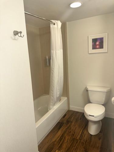 多伊尔斯敦汉普顿酒店 多伊尔斯敦汉普顿酒店