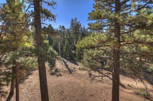 Everwood Serenity Treehouse onTrail head/Sledding in Big Bear Lake, USA