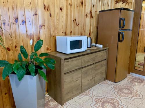 virtuve, Guest House Velet in Polyanytsya