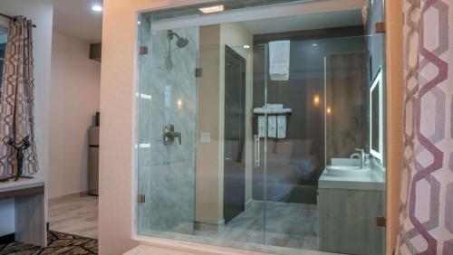 SureStay Hotel by Best Western Houston Southeast - 편의 시설/서비스