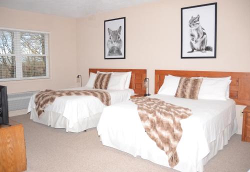 Bent Mountain Lodge Bed And Breakfast Inc. - image 6